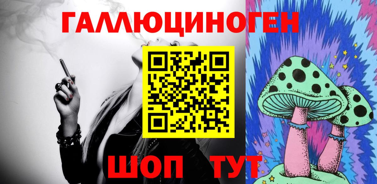 Новороссийск  Галлюциногенные грибы Magic Shrooms  Вход с VPN  Галлюциногенные грибы GOLDEN TEACHER 