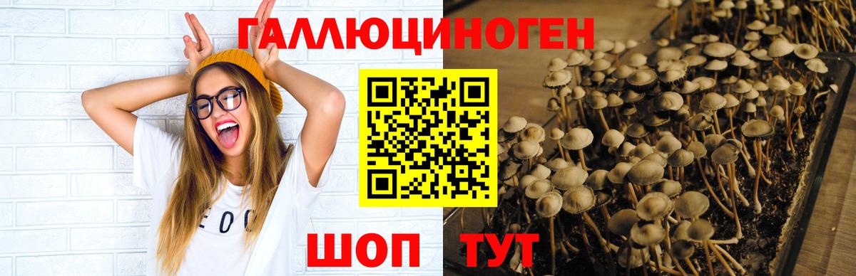 Галлюциногенные грибы мицелий Новороссийск